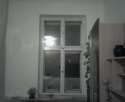 fenster ohne